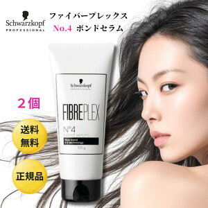 VcRt g[gg t@Co[vbNX No.4 {hZ 100g 2 􂢗Ȃ ~N^Cv _[W