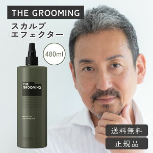 TGM XJv GtFN^[ lߑւ 480ml   XJv AfmV qmL̍ vtFbVi GbZVIC