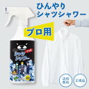 ひんやりシャツシャワー プロ用 本体 500ml ミントの香り 熱中症対策 グッズ 工事現場 ヘルメット 帽子 冷却 スプレー 暑さ対策 屋外 ひんやり フェス 自転車 工場 暑さ対策グッズ 冷却 熱中症対策グッズ 長時間 農作業 涼しい 靴 長靴 スポーツ ゴルフ 登山 作業着