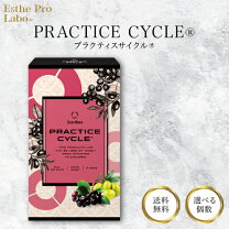 楽天市場】プラクティスサイクルの通販