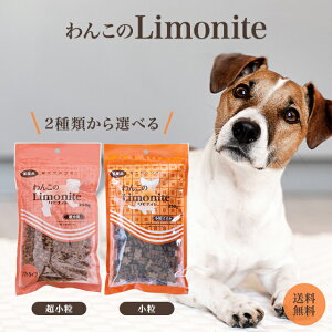 񂱂̃iCg   250g Iׂ2 IGg iCg Tv   \tg^Cv Y  S @\  t L ̏L AL ɂ PA