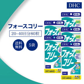 DHC フォースコリー 20日~40日分 80粒 5袋セット サプリメント ダイエット ディーエイチシー 必須アミノ酸 BCAA ビタミンB 健康食品 植物性 天然由来 サポート ハーブ 脂肪