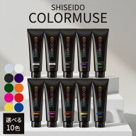 資生堂 カラーミューズ バイ プリミエンス カラークリーム 240g 全10種 資生堂プロフェッショナル SHISEI…