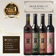 エステプロラボ ハーブザイム 113 グランプロ 酵素ドリンク 500ml 選べる4種類 プレーン オラックス ジン…