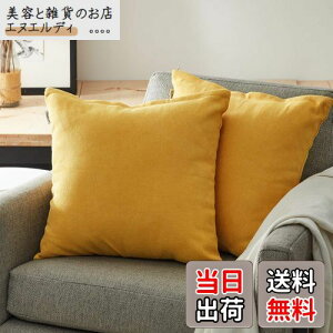 Topfinel NbVJo[ lۂ 45×45cm k  Ȗ n \t@w Jo[ zcJo[ CG[ 2ZbgiS10Fj