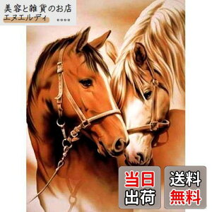 Reofrey _Ch̊G n, _ChA[g NXXeb` Lbg , Lbg Sʓ\t^Cv r[YA DIY |Lbgz[ Xg CXg[ z[ Ǌ| 