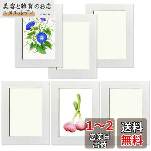 Haojiaho q̊G Wp tHgt[ 6Zbg 11.7*16.8cm  A[gt[ yیtB + Ǌ|pSV[g tz G拳 G W y[p[tHgt[ y  