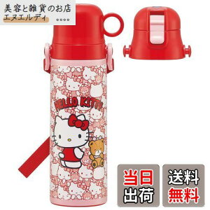 XP[^[(Skater) qp 2way XeX   580ml Rbv 570ml n[LeB 낤 TI qɗDyʃ^Cv j̎q  SKDC6-A