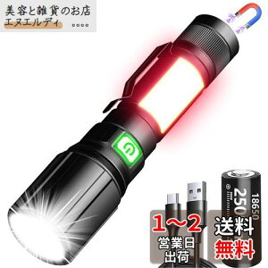 REHKITTZ d Px1600[ CtbVCg3 in 1iԁAAuvCgjCubNCg USB[dCLED 2500mAhe18650obe[ip_10`30ԁjCd  }Ol