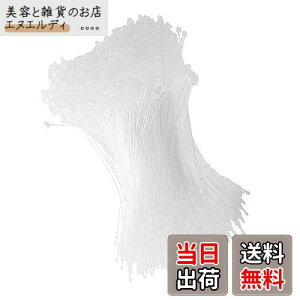 DFsucces ^Ot@Xi[ [vbN 1000{ lD ɕ֗ [vs vX`bN Xܗp e[v  ^O Ɩp mp (, 18cm)