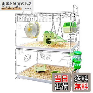 YOKITOMO nX^[P[W tNK  g ^т₷ g[fUC |₷I ʋC 2KfUC AN (ΐF)