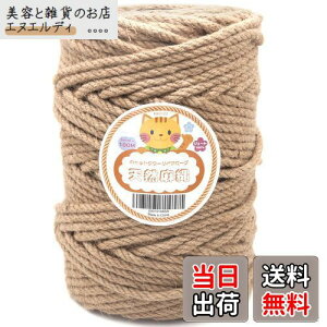 Rruize[v 6mm R 6mm*100mLbg^[yA[v 6mm  ܂Ƃp L^[ LbgEH[N Lbg^[p LbgNC~Ot[̏C̑֕i  DIY 