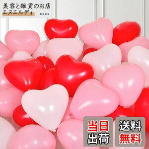 BTZO D o[ n[g^ 50Zbg A\[g 10C` t o^C  v|[Y a  p[eB[ Xܑ 3F bh zCg sN