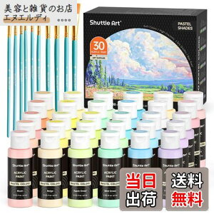 Shuttle Art アクリル絵の具 パステルカラー 30色 絵の具セット 60ml ペイントブラシ10本付き かわいい 柔らかい色調 キャンバス/石/木/ガラス/セラミックに描ける 絵具 画材セット イラスト 塗り