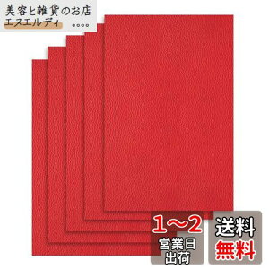 DERAYEE \郌U[ CV[ n \t@[ CV[ 5 oCN V[g C vV[g h (bh, 20X30cm)