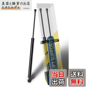 Amile 2013N-2019N fCY DAYZ  B21W AA0 gbNA_p[ A_p[ AQ[h_p[ gbN_p[ VbNAu\[o[ KXXvO _p[ obNhA_p[ 