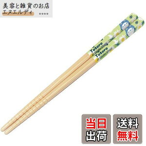 XP[^[(Skater)  | 16.5cm gg fCW[ Wu { ANT2