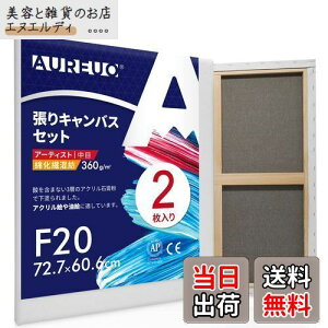 AUREUO 張りキャンバス セット F20 (72.7cmX60.6cm) 中目 綿化繊混紡 2枚 初心者 絵画用具 芸術絵創作 現代油絵 美術装飾 水彩画・油絵画・アクリル兼用