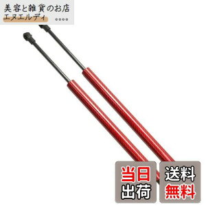 XIANGSHANG �z���_ �V�r�b�N �^�C�vR ���[�� FN2 ���A�Q�[�g�_���p�[ 74820-SMG-E01 �o�b�N�h�A�_���p�[ ���A�n�b�`�_���p�[ �g�����N�_���p�[ �Ԍ��Ή� �����p�i 2�{�g �ԃJ�[�{�� [���s�A���i]