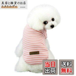 Kingsie  TVc ėp ̕  XgCv xXg hbOEFA ^ L ybg tďH o U (M, sN)