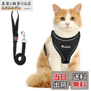 L Lp n[lX  L ˂ lR qL q ^ U o Ȃ xXg \tg y ʂ}WbNe[vő TCY߉ 锽 ʋCbV (STCY (x 1)