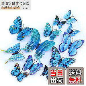 ULIN  3D  EH[XebJ[ ǎV[  ʃe[v V[ rO ① CeA ǃV[  킢 EH[y[p[ |X^[ u[