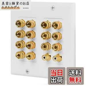 Fosmon ホームシアタースピーカー壁プレートコンセント オーディオ分配コンセントパネル銅 バナナプラグバインディングポスト スピーカーサウンドオーディオコネクタ挿入ジャックカプラ (7