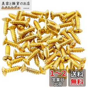 Musiclily ピックガード用ビス 3x12mm フェンダースタイルネジ ストラト/テレキャスターエレキギター 用 、ゴールド(50本入り)