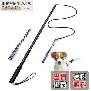 pފƂ [v   hM[} Pp p ފƌ^ OߐLkł 2pt 3`5Jɔzς