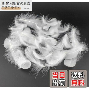 Kingsie VR H 100Zbg tFU[V[ HV[ |f  EGfBO o (zCg)