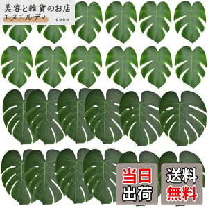 BestgleXe̗t lHt t sȂtFCNO[ 24ZbglϗtA T̗t  Be p ins Ǌ| CeA 