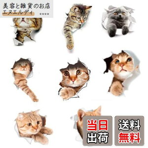 siawadeky L V[ 8Zbg  EH[XebJ[ яoĂ 3D݂ h V[  DIY  JtF ybg gC  Q q CeA  XgX