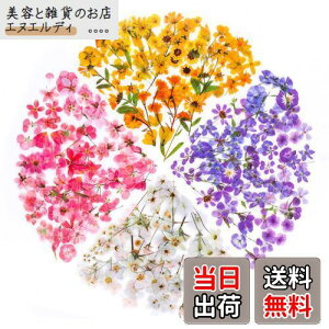 YOVOY 164 R[W f V[ ԃV[Zbg t[NV[ XebJ[ e    A 蒠fރXebJ[ KXrƉ