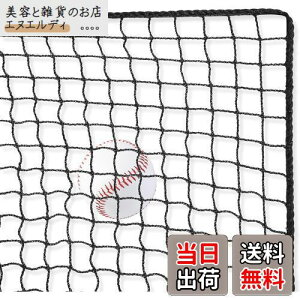AKOZLIN 3m×8m 硬式・軟式用野球ネット 野球バッティングトレーニングネットソフトボールバックストップネットヘビーデューティースポーツネットバリア野球ネット裏庭のホッケー、野球、サ