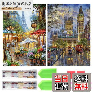 TRX _ChA[g Lbg _Ch̊G 2Zbg ꂢ Sʓ\t _ChA[g 5D S l̎q DIY |Lbg Ƃ̕ǂ̑ (Xg[gr[)