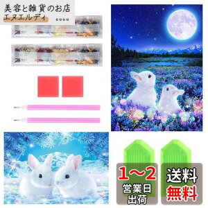 TRX _ChA[g Lbg _Ch̊G 2Zbg ꂢ  Sʓ\t 5D _ChA[g S l̎q DIY |Lbg Ƃ̕ǂ̑iETMCj
