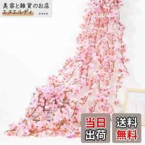 siawadeky  K[h  ͂Ȃ 4{ 135/{ lHϗtA ԗ ʐ^  v|[Y p[eB[  lHǊ| ݂艺 fR[V o^Cf[