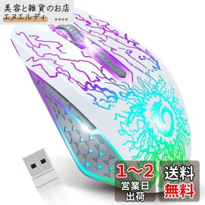 VersionTECH. CX}EX 2.4GHz }EX USB[d 7F RGBCg x 3iDPI߉ 6{^ Q[}EX y PC bvgbvȂǑΉ zCgmsAn