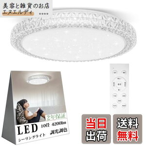 OOWOLF LEDV[OCg 10 4200lm   F Rt d铔 ₷݃^C}[ @\ 6`10 Ceiling Light rO Q a 䏊 VƖ