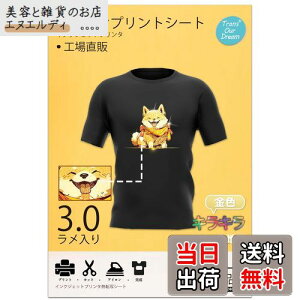 TransOurDream ^̓]ʃV[g LLACvgV[g FtbV A4 5 zpLLV[]ʎ EZFnp vgV[g ACvgp TVcvg M]