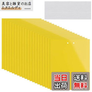 KALOLINNA  SV[g  QߊlS ʔS h S ȒPt Q ߒ h nG 쏜 ߊl K[fjO _ ͔| ƒ؉ CG[ (20×10cm,20)