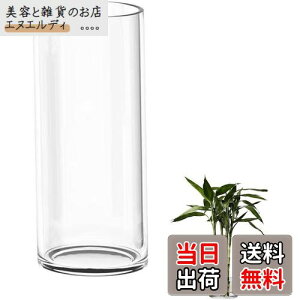 DARENYI KX ԕr 傫 35cmt[x[X ~ 傫  ^ ԕr NA Vv  CeA (a12cm 35cm)