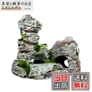 Charmoon ANAE  IuWF R B VF^[ A  I[ig u (^Cv2)