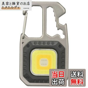 I[d@ LEDd tbVCg nfBCg RpNgc[Cg lp` 810[ 𔲂/hCo[4/`/Jri AEghA Lv LH-CS81A5 08-1517 OHM