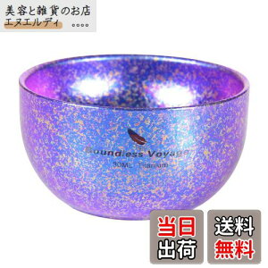 Boundless Voyage `^  ۂ dw Lv M y ϔM ₯ǖh~ KтȂ yhȂz ~jRbv u eB[Jbv (p[v())Ti3082D