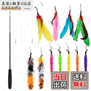 14 _Zbg L ColiChili L炵 VR Ĥ pH11 _t pނ莅2 ԂԂ ybgObY ˂pi