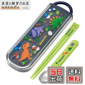 XP[^[(Skater)  Xv[Zbg fBmTEX CCA1 {-A