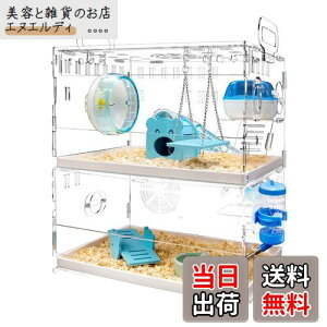 YOKITOMO nX^[P[W tNK P[W  g g[fUC |₷I ʋC 2KfUC ^т₷ AN (F)