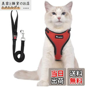 L Lp n[lX  L ˂ lR qL q ^ U o Ȃ xXg \tg y ʂ}WbNe[vő TCY߉ 锽 ʋCbV (STCY (x 1)