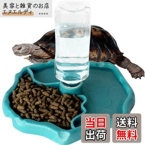 IKENOKOI঒ H  a  T/gJQ//Ȃ঒ސpiu[j